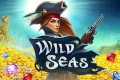 Wild Seas